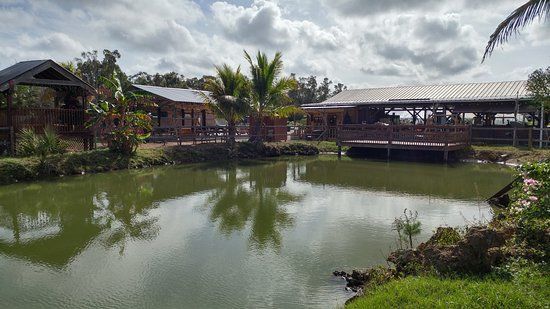 Southern Fresh Farms